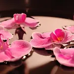 The Mandala Hotel 4*