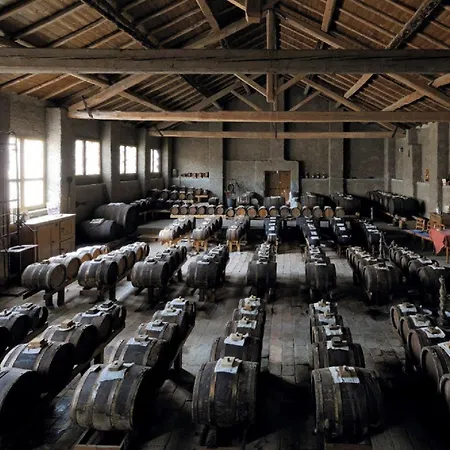 The Mandala 4* Berlin