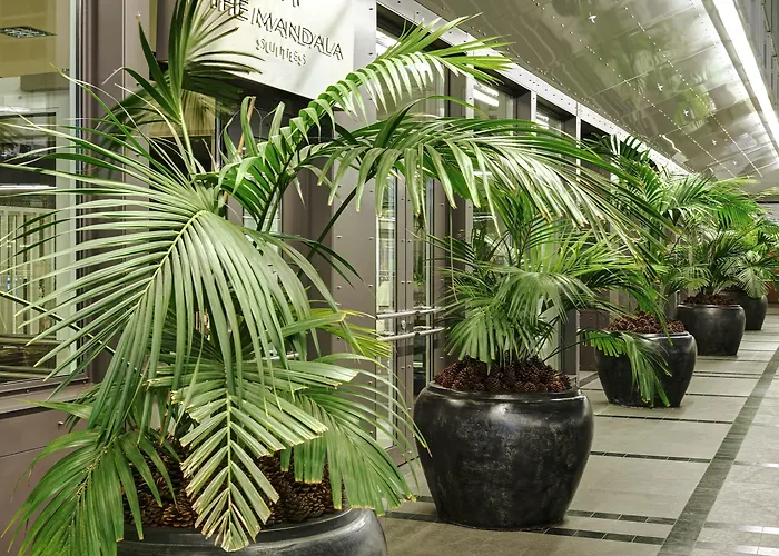 曼陀罗套房酒店 酒店 4*