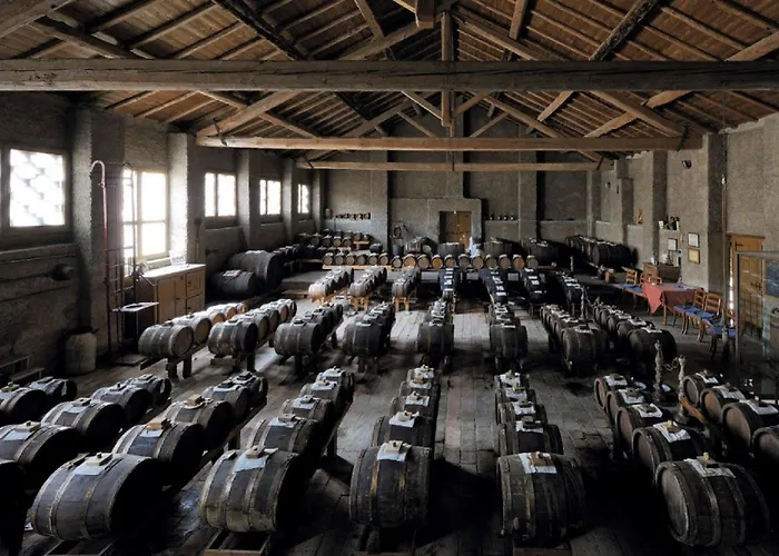 The Mandala 4* Берлин