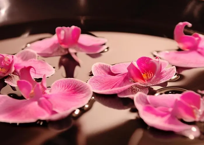 The Mandala Отель 4*