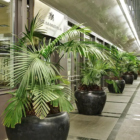 The Mandala Hotel 4*